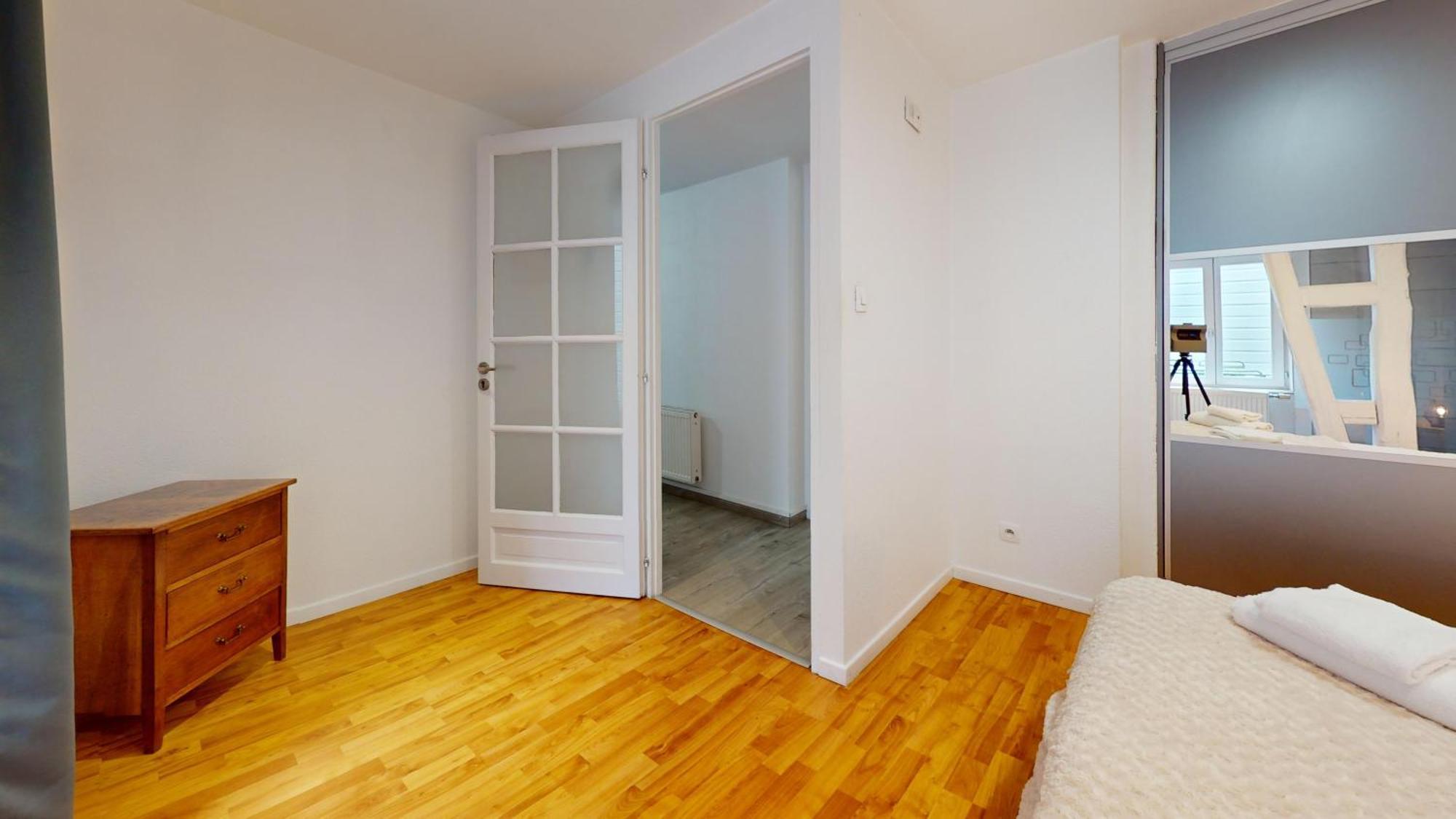 Le Roesselmann 1 Parking Apartment Colmar Ngoại thất bức ảnh