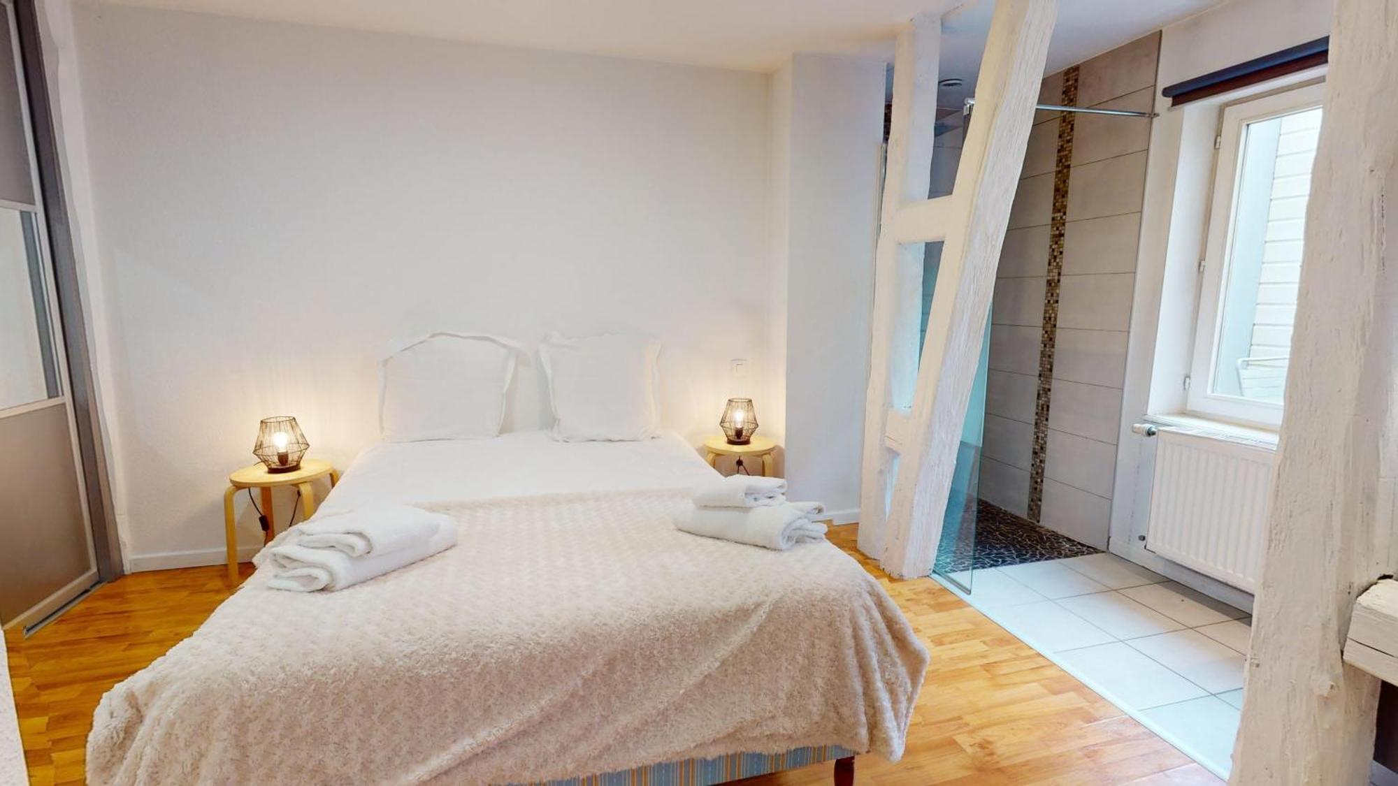 Le Roesselmann 1 Parking Apartment Colmar Ngoại thất bức ảnh