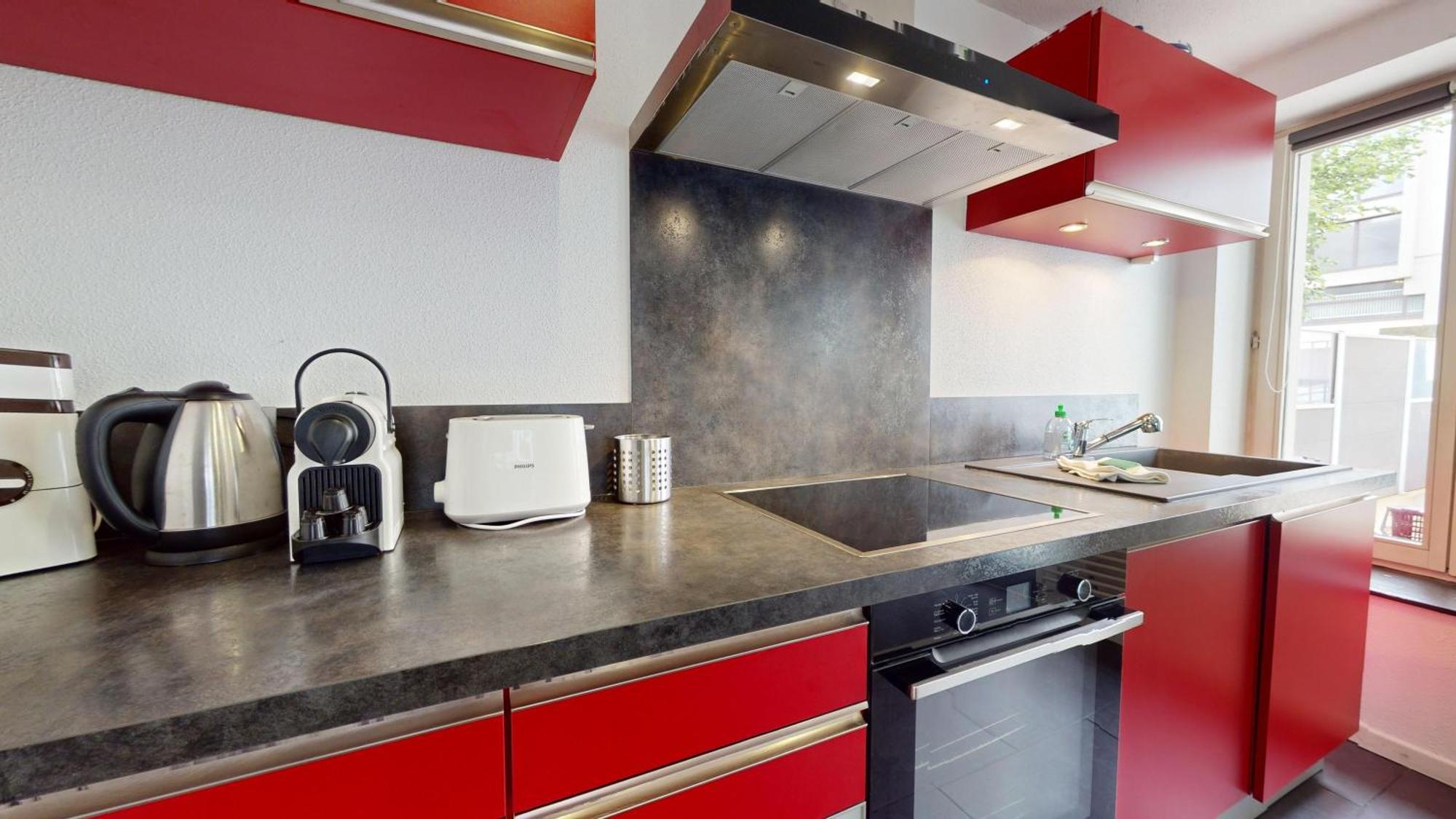 Le Roesselmann 1 Parking Apartment Colmar Ngoại thất bức ảnh